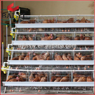 2017 Hot Sale 96 Birds Chicken Layer Cage nas Filipinas